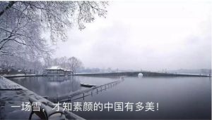 美顏式愛國 美顏式愛國