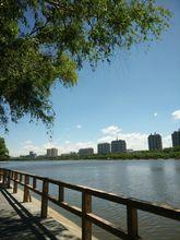 新華街道[吉林省梅河口市新華街道]