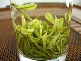 安吉溪龍白茶 安吉溪龍白茶