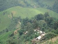 苦竹林村 苦竹林村