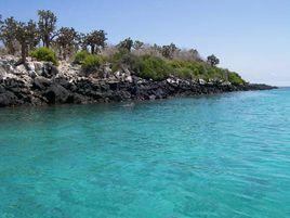 巴靈頓島 巴靈頓島