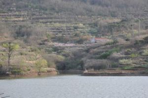 南莊水庫 南莊水庫