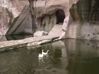 蛇蟠島度假區 蛇蟠島度假區