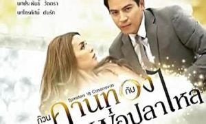 中女剩斗史 中女剩斗史