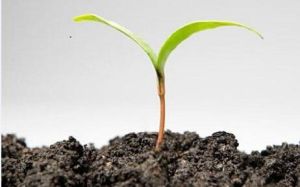 土壤修復劑 土壤修復劑