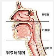 咽喉異物感 咽喉異物感