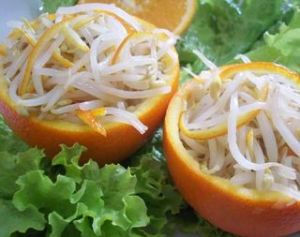 橙皮銀芽 橙皮銀芽