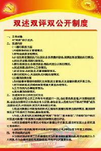 雙述雙評 雙述雙評