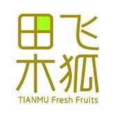 田木飛狐 田木飛狐