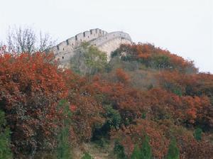 八達嶺國家森林公園