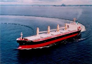 中國遠洋控股股份有限公司