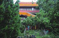 8·18嶽麓書院古樹壓塌大殿事件 8·18嶽麓書院古樹壓塌大殿事件