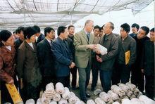 沈思和與各國專家交流