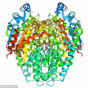 磷酸己糖異構酶