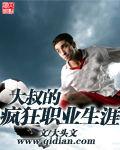 大叔的瘋狂職業生涯 大叔的瘋狂職業生涯
