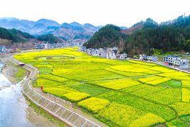 銅鼓鎮[重慶市酉陽土家族苗族自治縣銅鼓鎮]