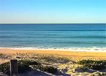 悉尼中央海岸 悉尼中央海岸