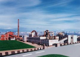 中鹽東興鹽化股份有限公司 中鹽東興鹽化股份有限公司