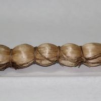 蓮花峰茶 蓮花峰茶