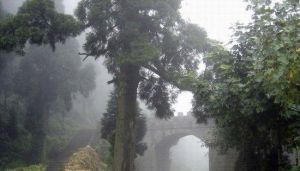 蒼嶺古道 蒼嶺古道