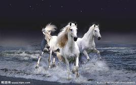 駿馬[跑得快的好馬]