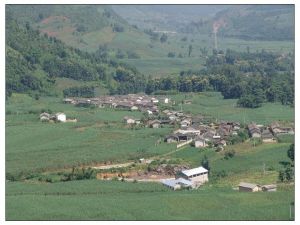 紅木坪村 紅木坪村