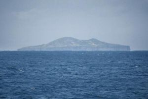 龍王鯛東島 龍王鯛東島