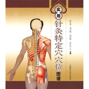 《實用針灸特定穴穴點陣圖譜》 《實用針灸特定穴穴點陣圖譜》