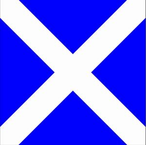 國際信號旗中的字母M，或“本船已完全停下”