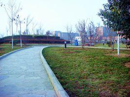 渭南沋河 渭南沋河