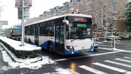 上海公交986路區間 上海公交986路區間