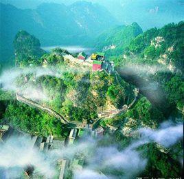 道教茶道 道教茶道