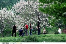 相山風景區一角