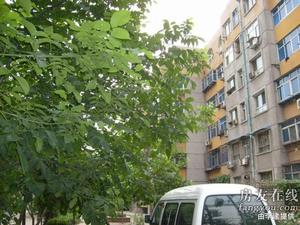 銀龍北區 銀龍北區