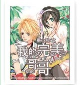 我的完美哥哥 我的完美哥哥