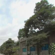 龍洞堡街道 龍洞堡街道