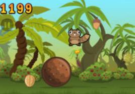 noogra nuts noogra nuts