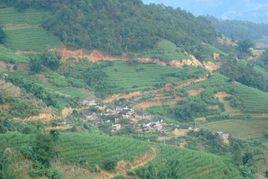乾田自然村[雲南省雙江縣忙糯鄉乾田自然村]