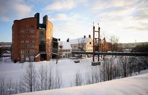 瑞典中部大學 瑞典中部大學