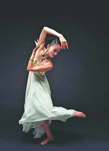 雲南楊麗萍文化傳播有限公司 雲南楊麗萍文化傳播有限公司