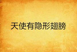 天使有隱形翅膀