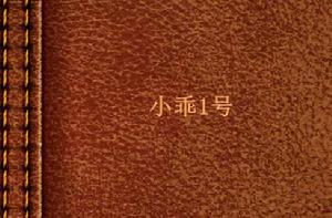 小乖1號 小乖1號