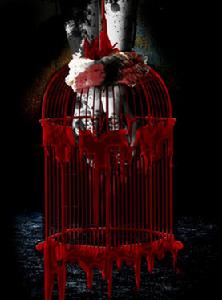 囚禁62小時 囚禁62小時