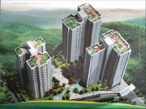 鑫星泓羲源 鑫星泓羲源