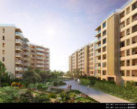 新華1號 新華1號