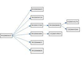 專利分析法 專利分析法