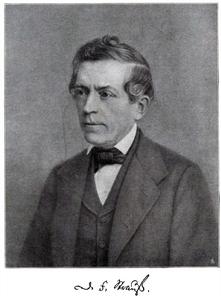 大衛·弗里德里希·施特勞斯 大衛·弗里德里希·施特勞斯