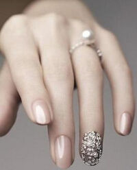 無名指[中指與小指之間的指頭]