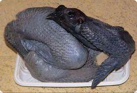 烏雞肉[烏骨雞]