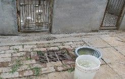 北京海淀區林業老科技者協會動物救助分會 北京海淀區林業老科技者協會動物救助分會